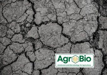 solusi tanah dengan efektifitas pemupukan yang rendah