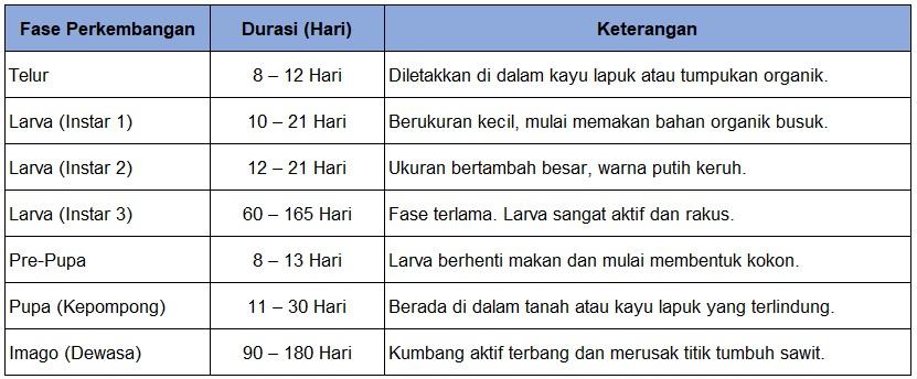tabel siklus hidup kumbang tanduk